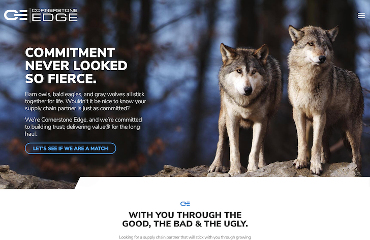 Image of the homepage of Cornerstone-Edge.com